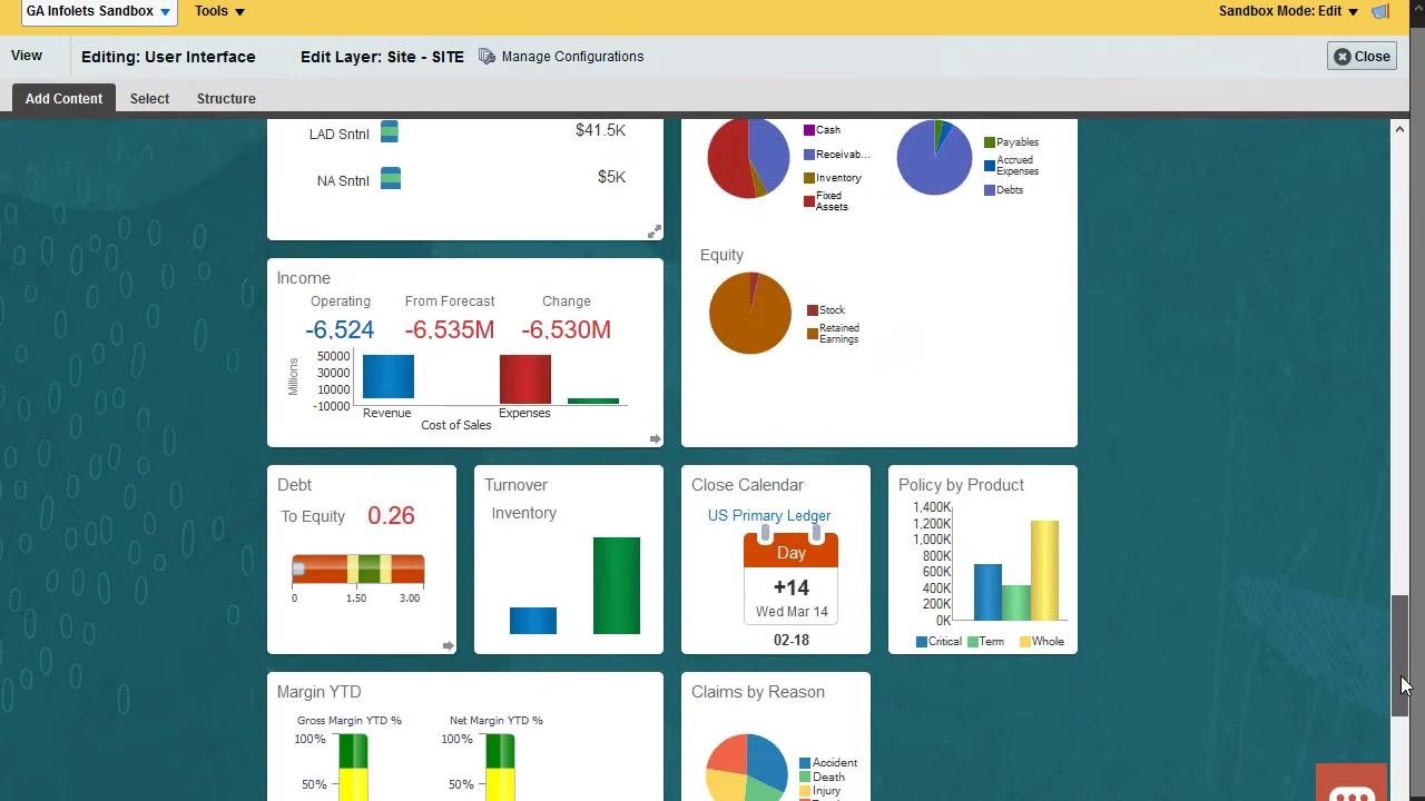 Dashboard with all infolet views populated, showing charts for assets, liabilities, equity, income, and more