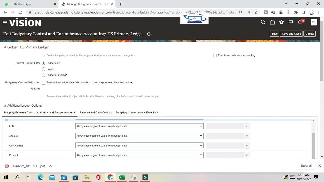 Revenue and Cash Controls tab showing the control budget name and status.