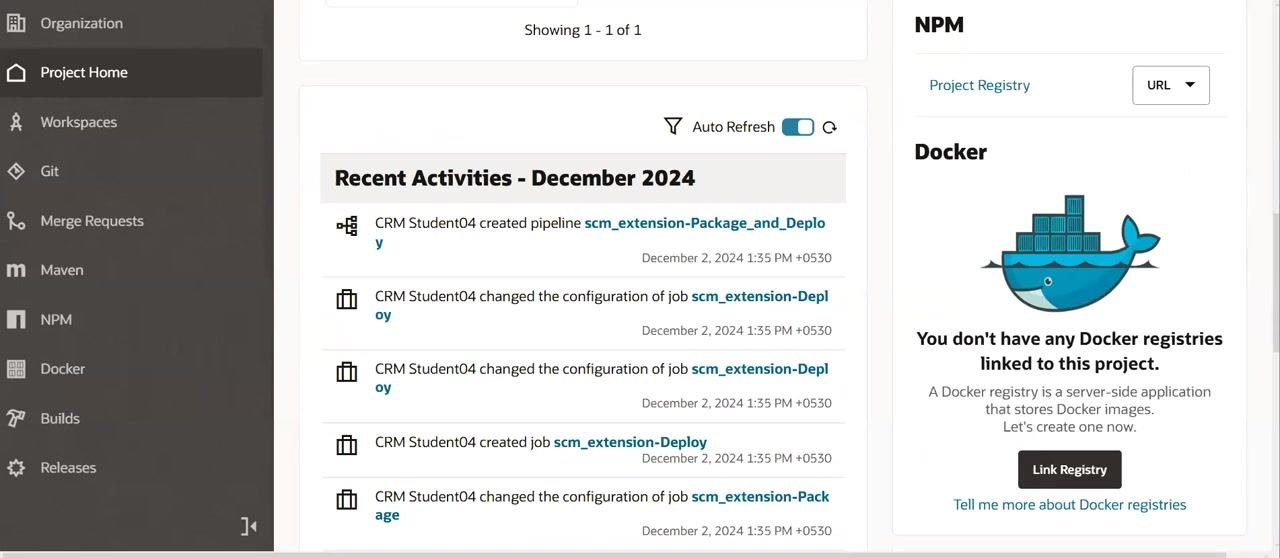Project Home dashboard showing recent activities and a Docker registry prompt