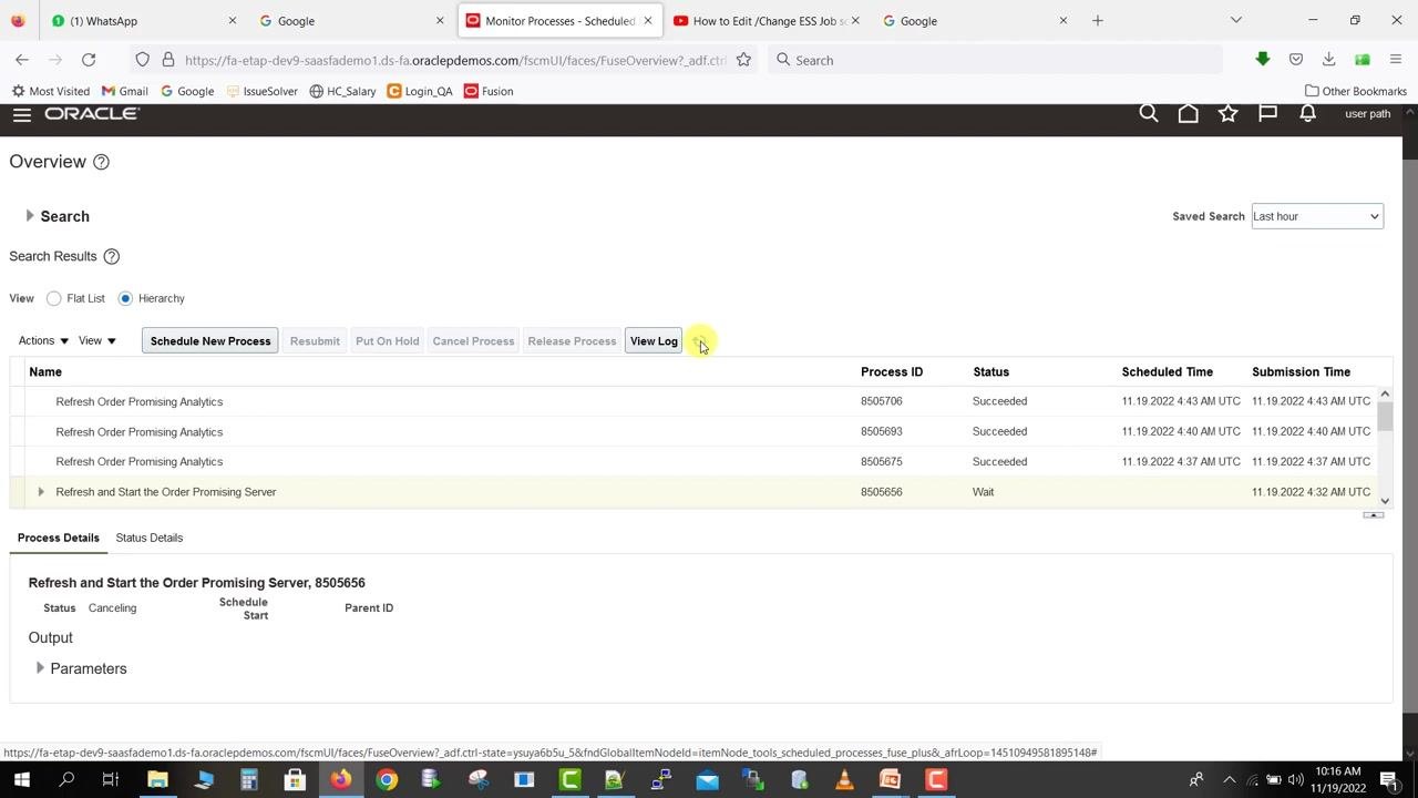 Oracle Fusion Overview screen showing the job status as "Canceling" in the Process Details section after initiating cancellation.