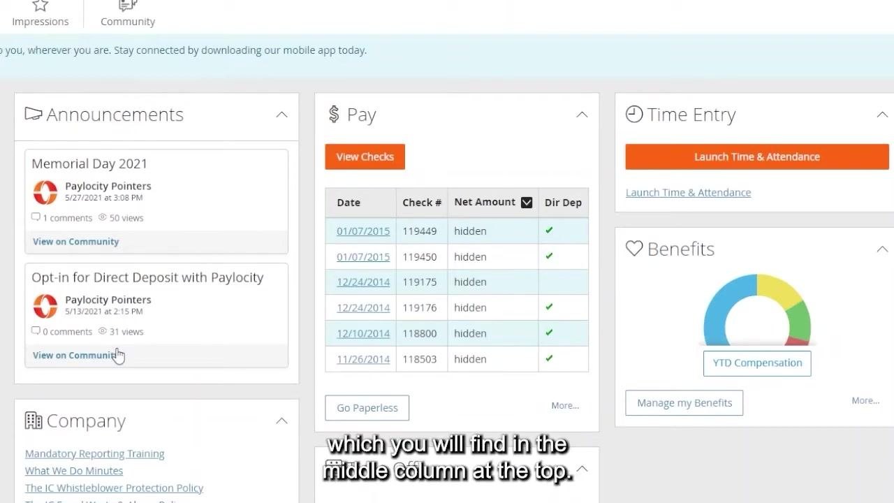 Paylocity Pay section showing the Checks and Tax Forms tabs with a "No Checks Selected" message