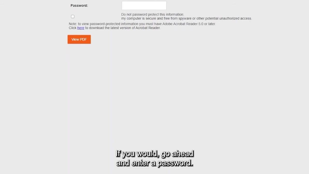 Password protection screen with the password field ready for entry and the View PDF button below