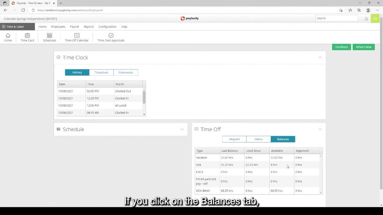 Balances tab selected in Time Off section, showing detailed breakdown of vacation, sick, and other leave types with hours available and used