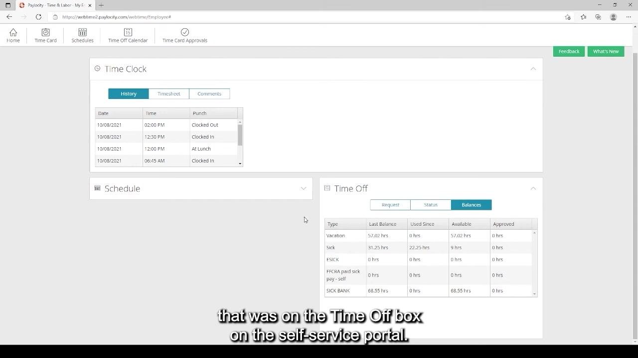 Balances tab showing Sick time with 9 hours available, 22.25 hours used since last balance, and 31.25 hours last balance