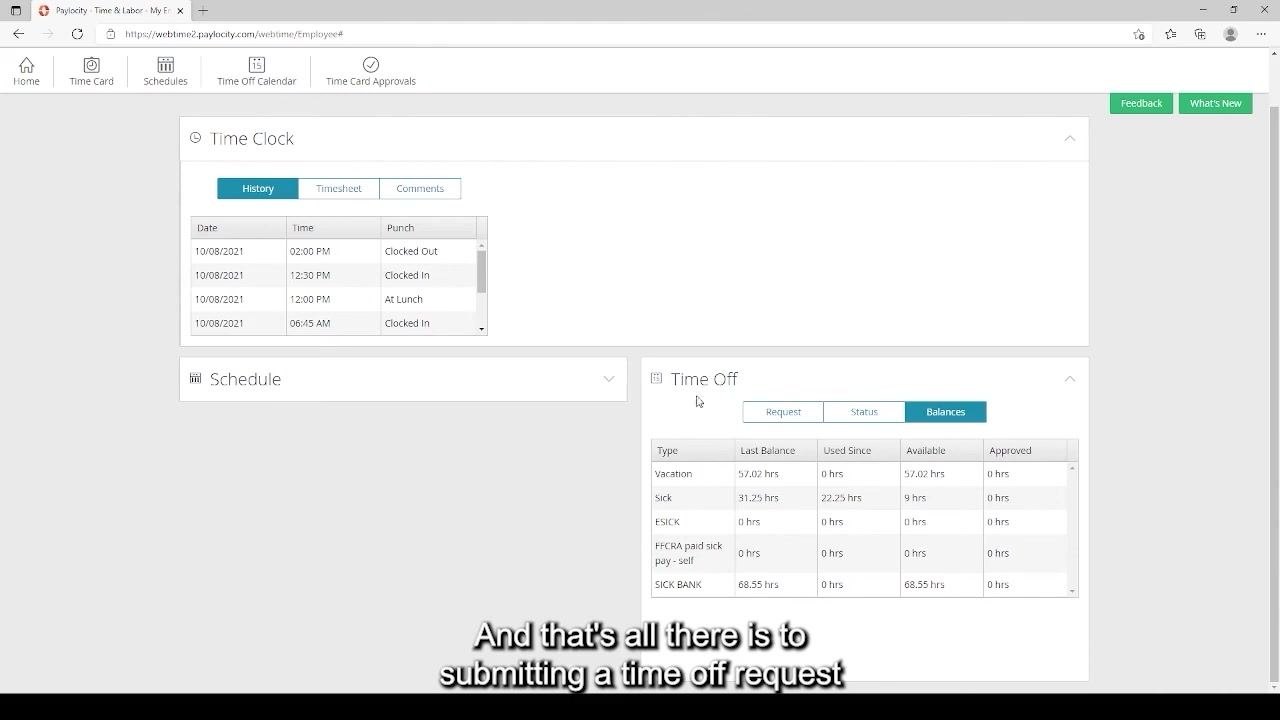 Balances tab in Time Off section, summary of all leave types and hours