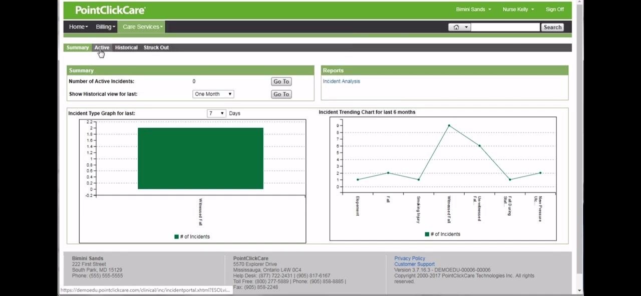 The PointClickCare dashboard showing the Care Services > Incidents section with the Active tab highlighted. The screen displays incident graphs and summary information.