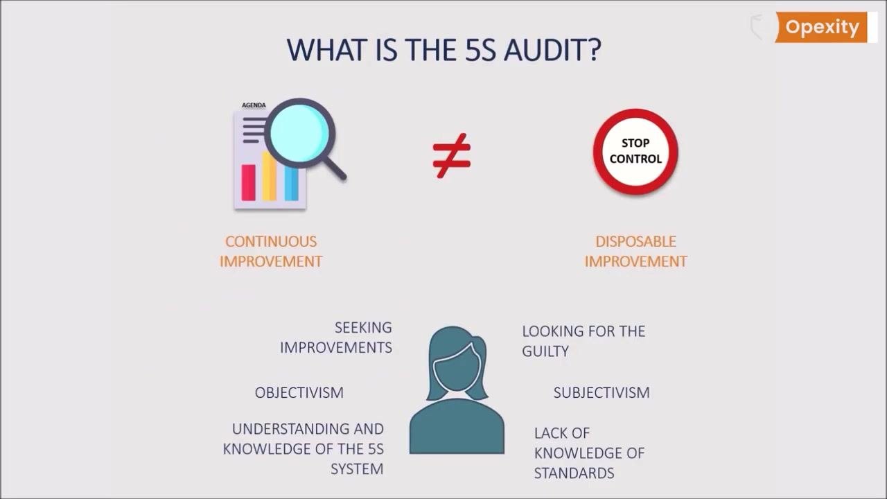 A presenter stands next to a slide titled "WHAT IS THE 5S AUDIT?" The slide visually contrasts audit and control: Audit (with a magnifying glass and bar chart) is labeled "CONTINUOUS IMPROVEMENT," while Control (with a stop sign labeled "STOP CONTROL") is labeled "DISPOSABLE IMPROVEMENT." Additional text under Audit includes "SEEKING IMPROVEMENTS," "OBJECTIVISM," and "UNDERSTANDING AND KNOWLEDGE OF THE 5S SYSTEM." Under Control: "LOOKING FOR THE GUILTY," "SUBJECTIVISM," and "LACK OF KNOWLEDGE OF STANDARDS."