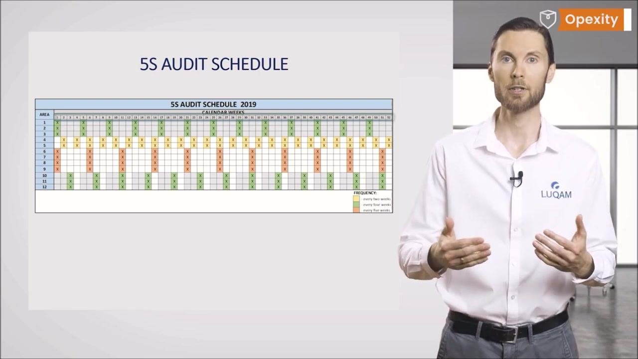 A presenter stands next to a slide titled "AUDIT FORM," which shows a close-up image of a hand writing on a form. The presenter is wearing a white shirt with the LUQAM logo and is positioned in a modern office environment.