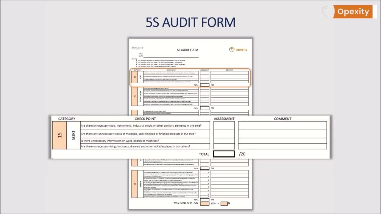 A close-up of the audit form shows the AREA and DATE fields and the scoring key with values 0, 1, 3, and 5, each with a clear definition, alongside the Opexity and LUQAM logos.