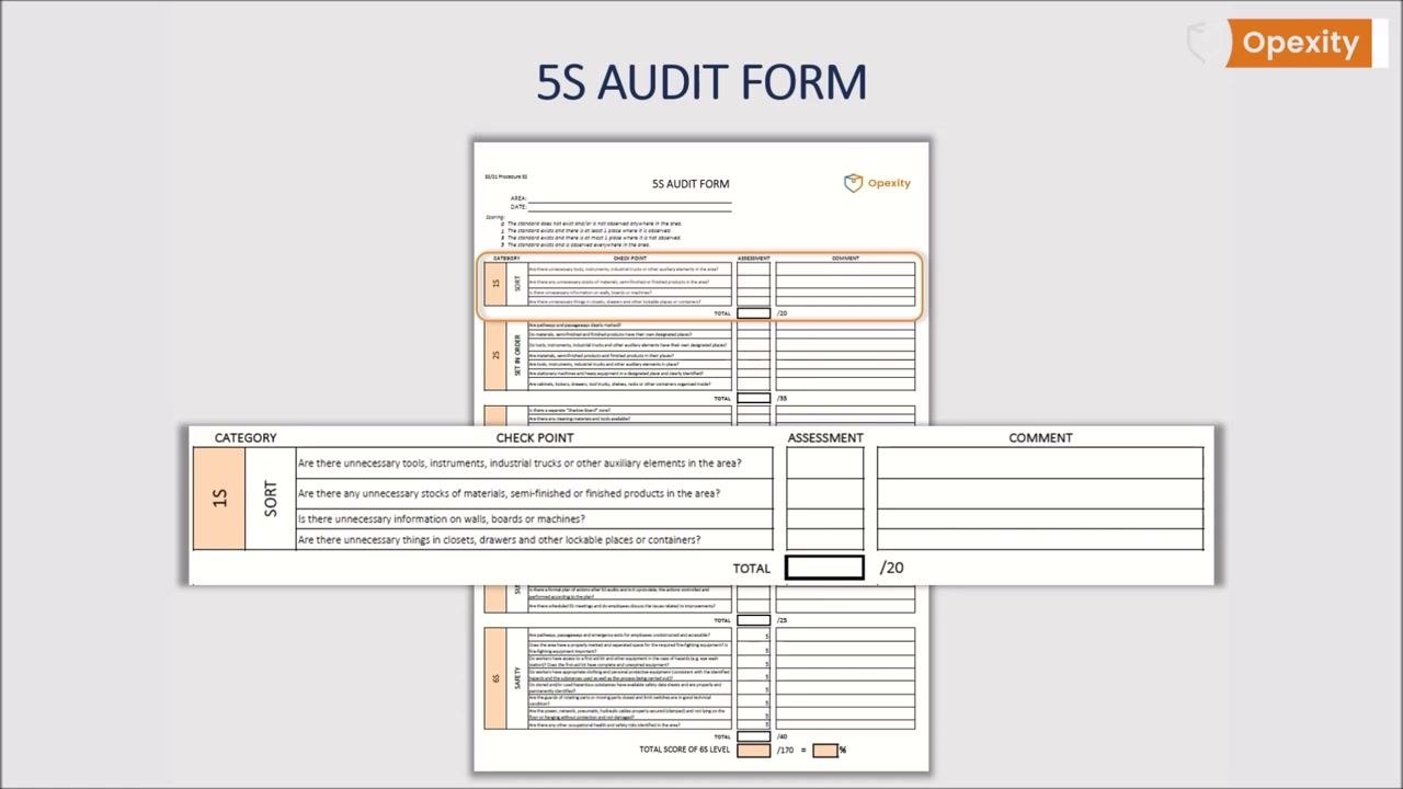 Zoomed-in view of the "1S SORT" section showing example checkpoints, assessment and comment fields, and the section's total score box.