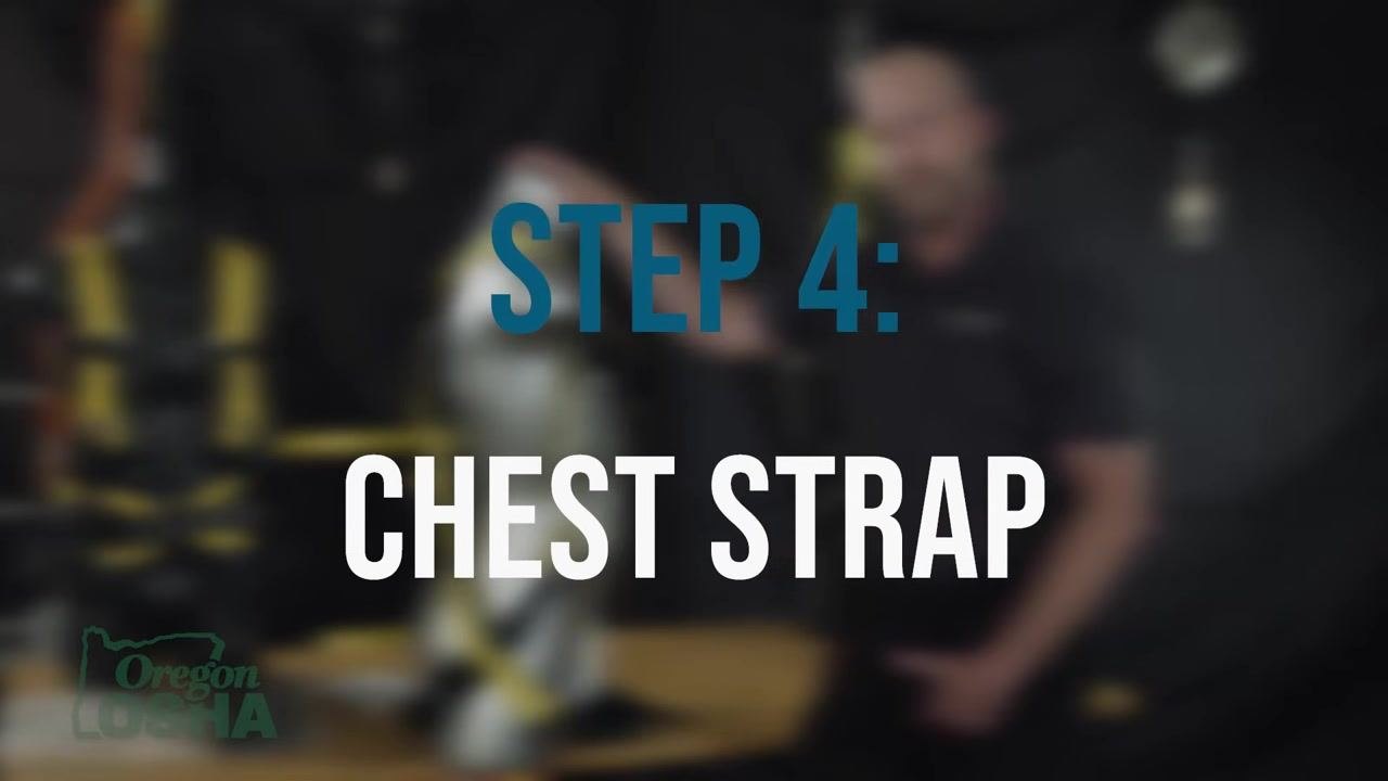 Attaching the chest strap on a mannequin, ensuring it lays flat across the chest