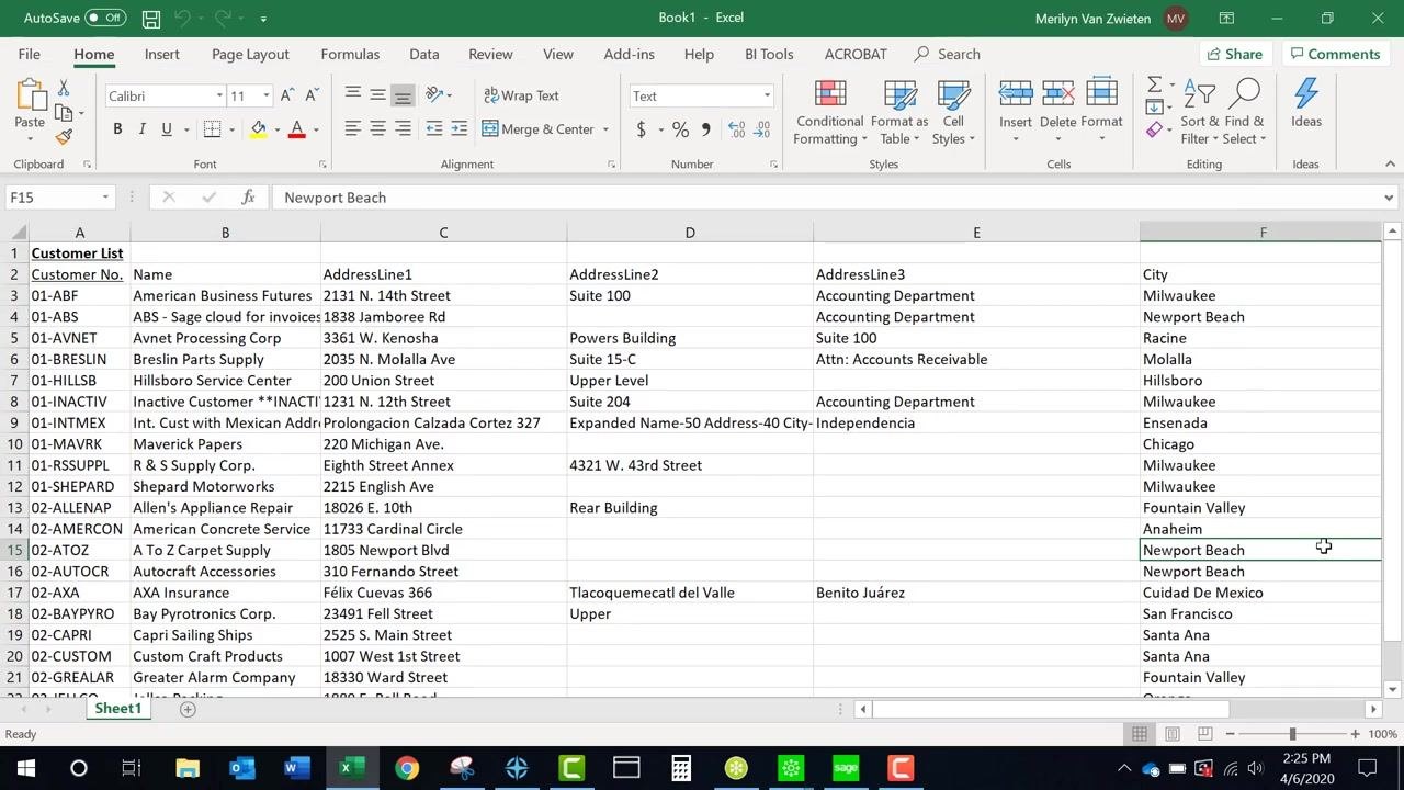 Customer List exported to Excel, showing customer details organized in columns