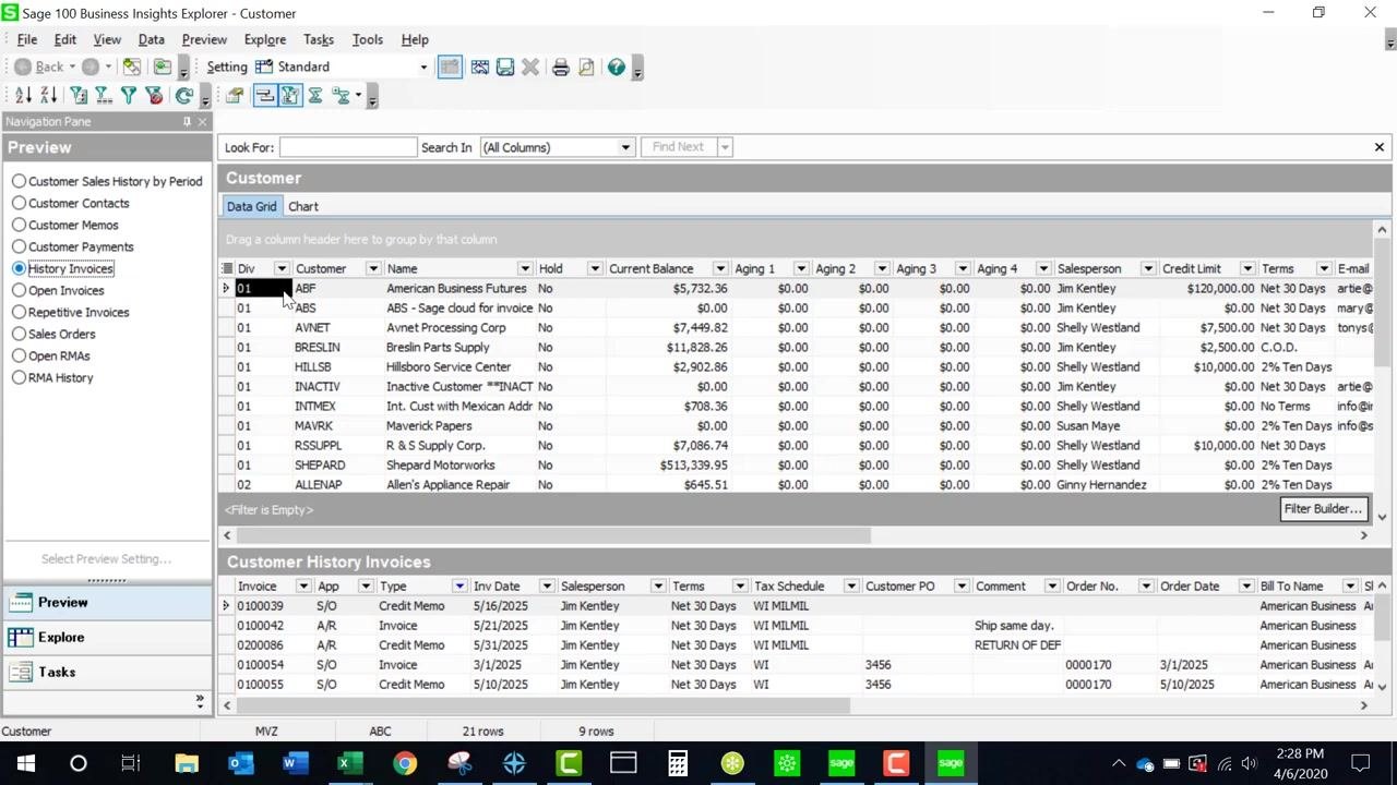 Business Insights Explorer with History Invoices selected in the Preview panel, showing customer data in the primary grid and invoice history in the secondary grid