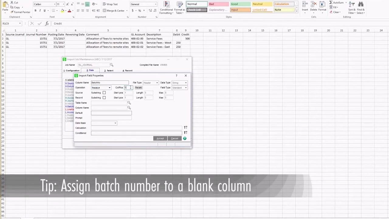 Import Field Properties dialog for BatchNo, with the column position set to a blank column. Overlay text reads "Tip: Assign batch number to a blank column."