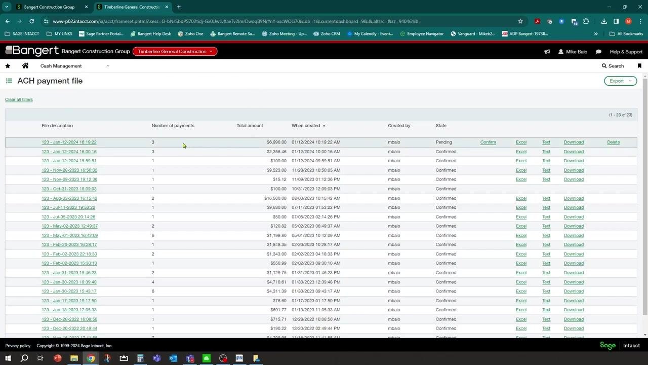 ACH payment file list showing the newly created file with details and available actions