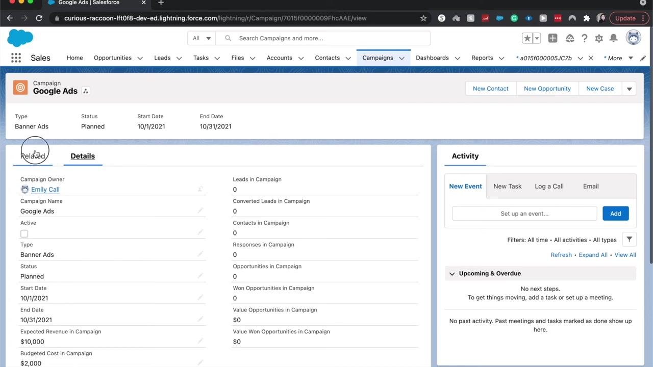 Salesforce campaign detail page showing campaign information and the related lists tab selected