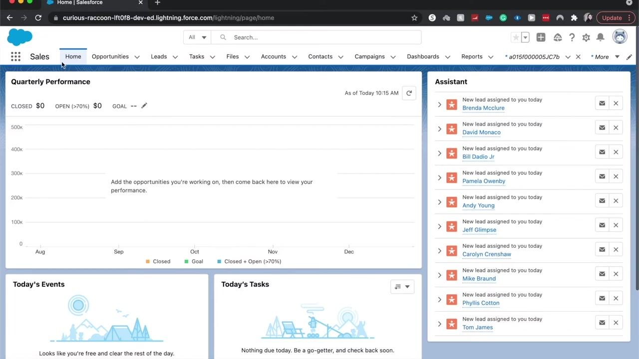 Top navigation ribbon showing Home, Opportunities, Leads, Tasks, Files, Accounts, Contacts, Campaigns, Dashboards, and Reports