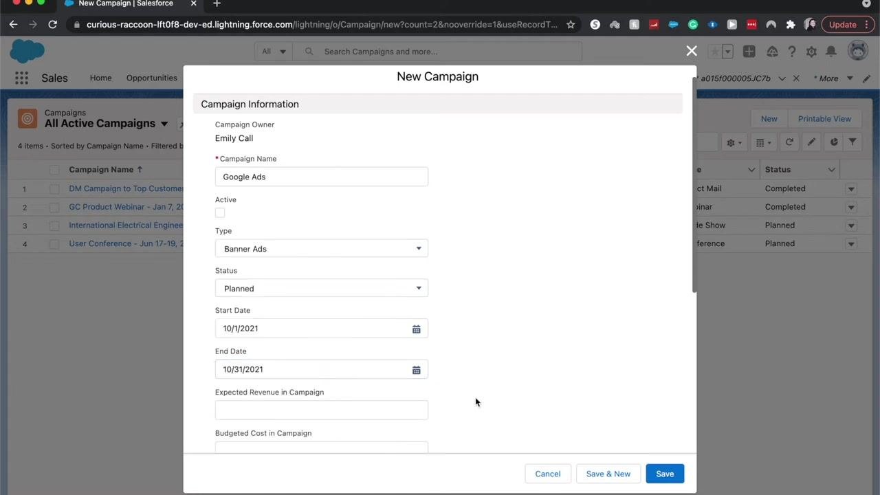 New Campaign dialog with the Expected Revenue in Campaign field being filled with $10,000