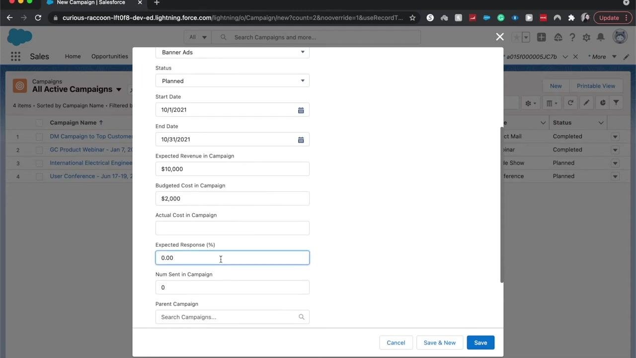 New Campaign dialog with Expected Response (%) set to 5.00 and Num Sent in Campaign as 0