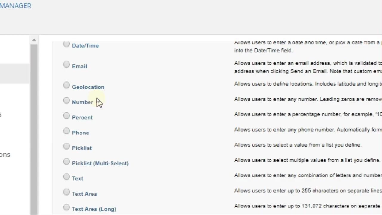 Salesforce New Custom Field screen with Issue field filled and cursor on Next button