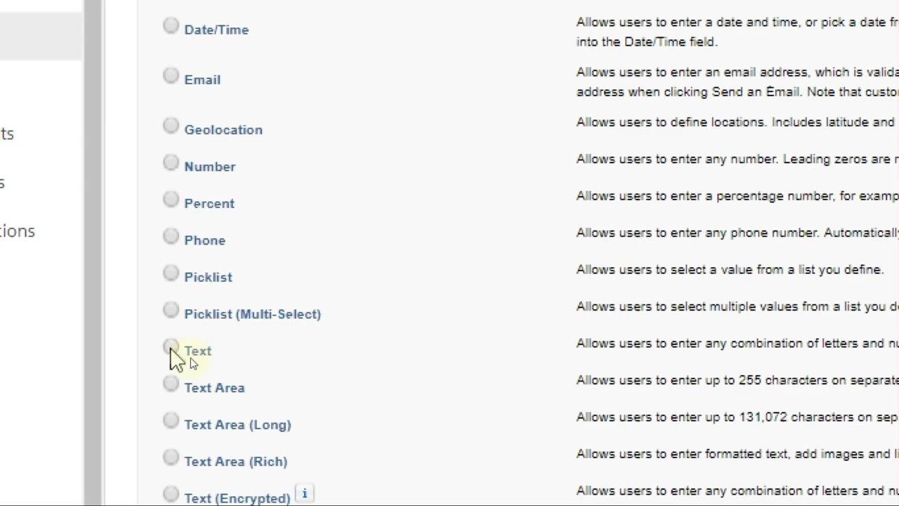 Field type selection screen with Text option highlighted and description visible