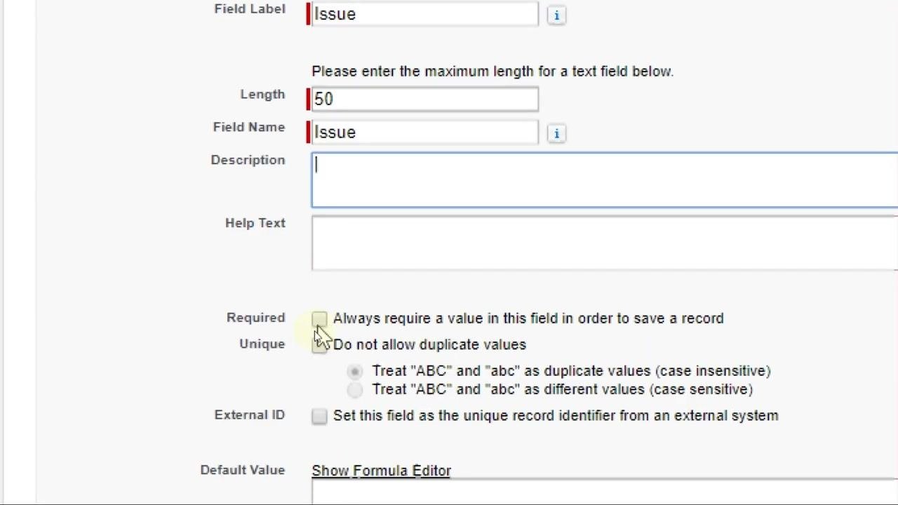 Salesforce New Custom Field screen with Issue, Length 50, and required/unique options visible