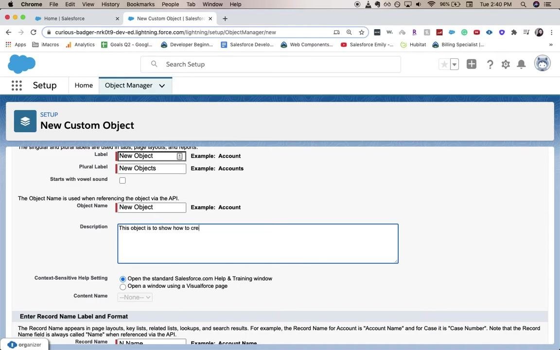 New Custom Object form with the Label, Plural Label, and Object Name fields being filled in