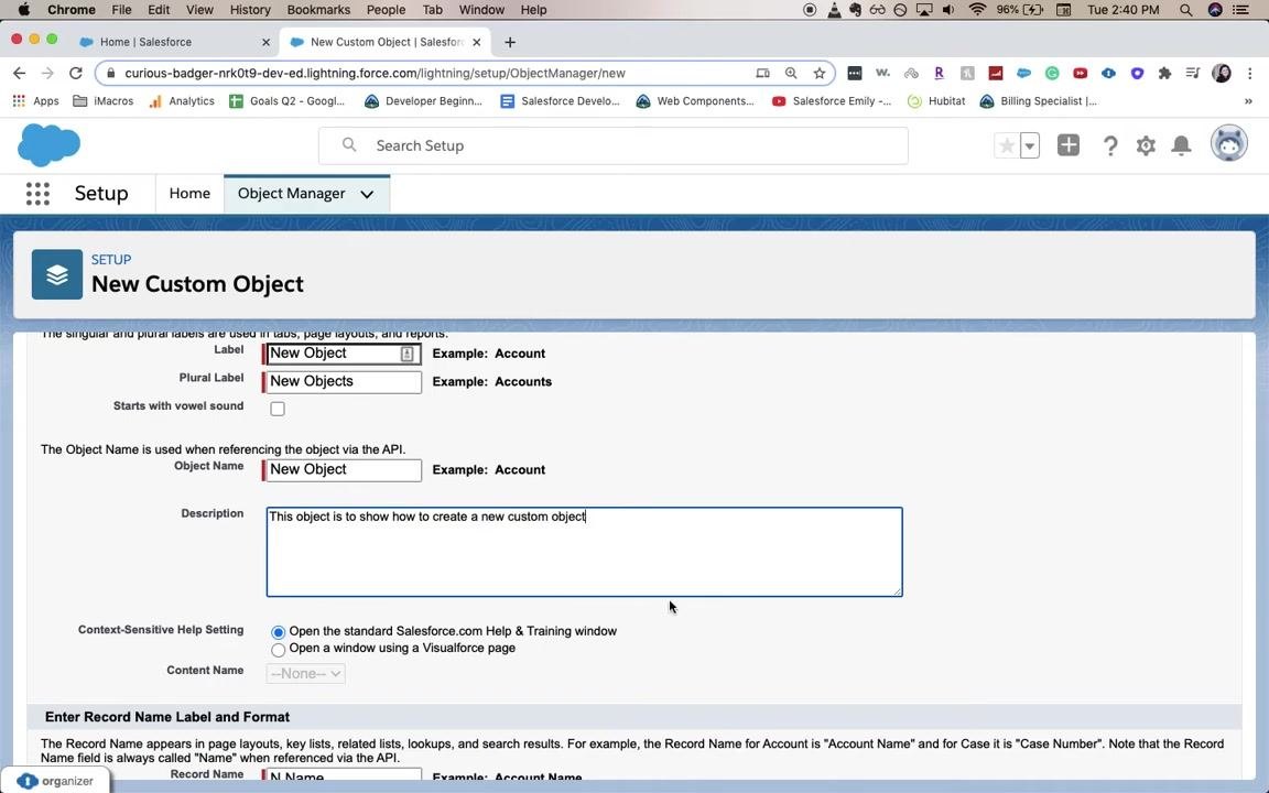 New Custom Object form fully filled in, including the description