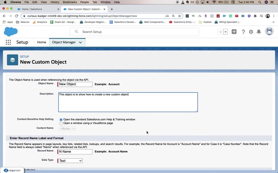 Salesforce New Custom Object form with Object Name, Description, and Record Name fields filled in, no errors shown yet