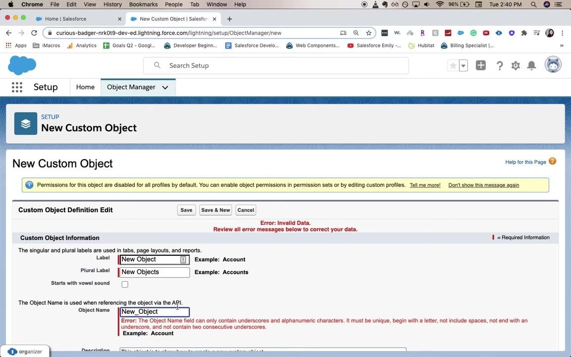 Salesforce New Custom Object form showing an error for an invalid Object Name, with error messages highlighted