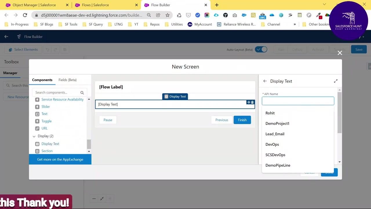Flow Builder interface with the New Screen dialog open, the Display Text component selected, and the API Name dropdown showing several existing options.