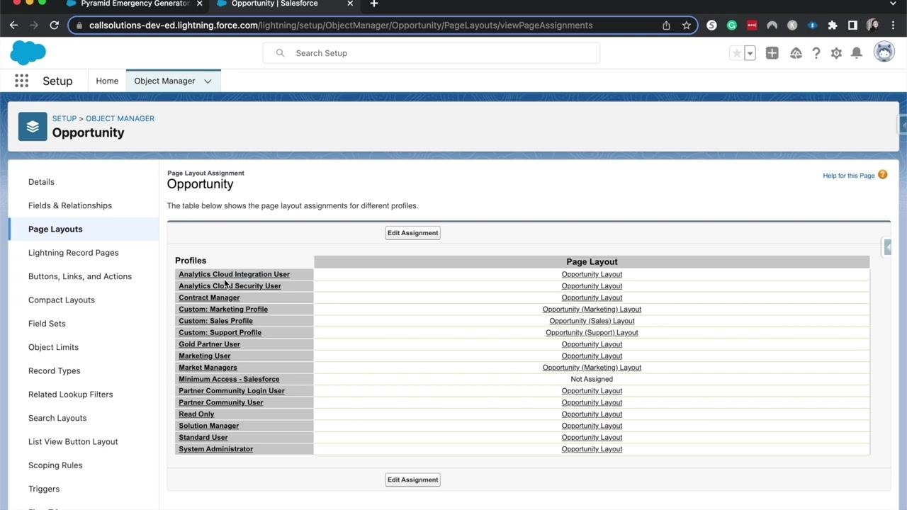 Page Layout Assignment table with cursor over a profile assignment