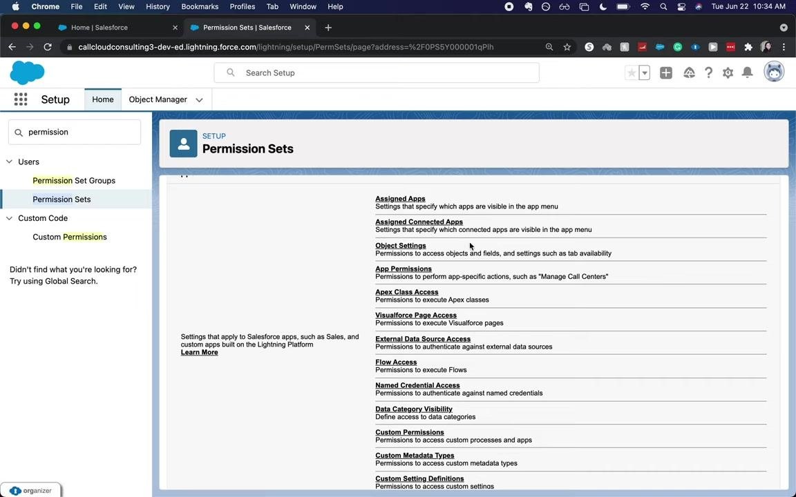 Salesforce Permission Sets overview listing app permissions, Apex class access, Visualforce page access, and external data source access.