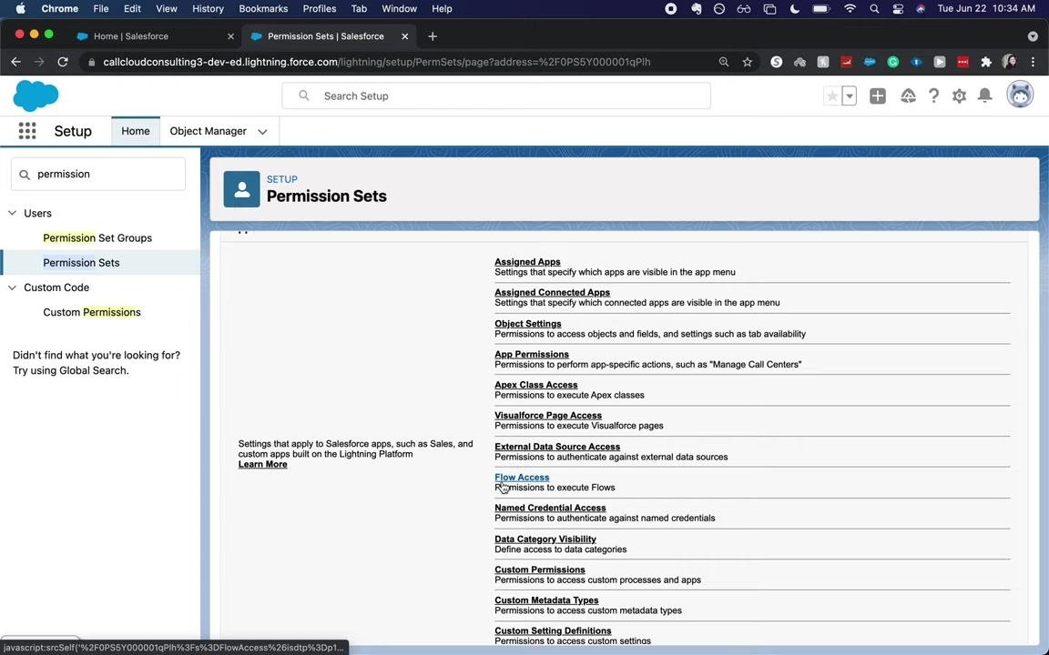 Permission Sets page showing a detailed list of permission categories and their descriptions.