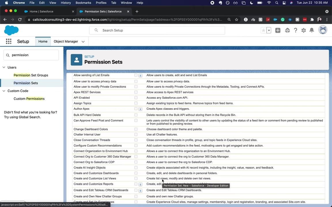 Extended system permissions list with options for dashboards, reports, Chatter, and more.