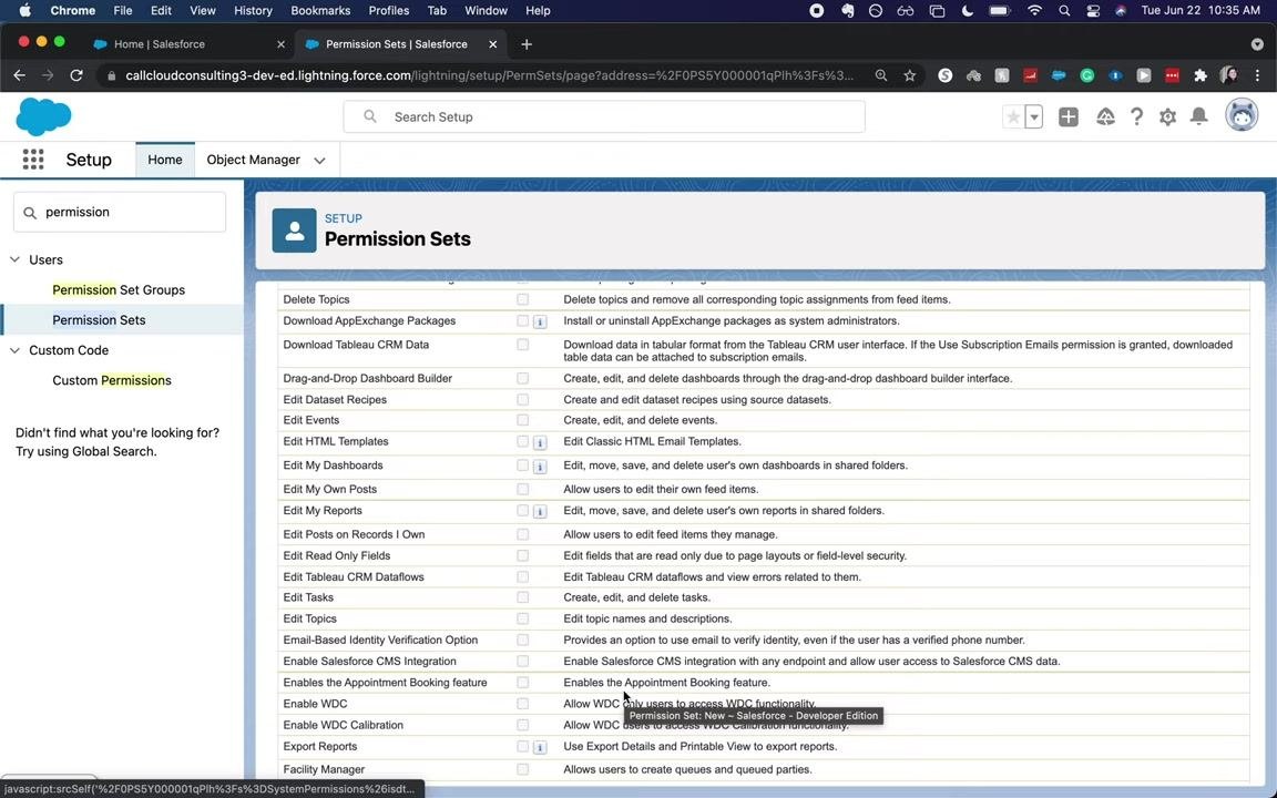 Salesforce Permission Sets page showing a scrollable list of system permissions with checkboxes and descriptions for each permission.
