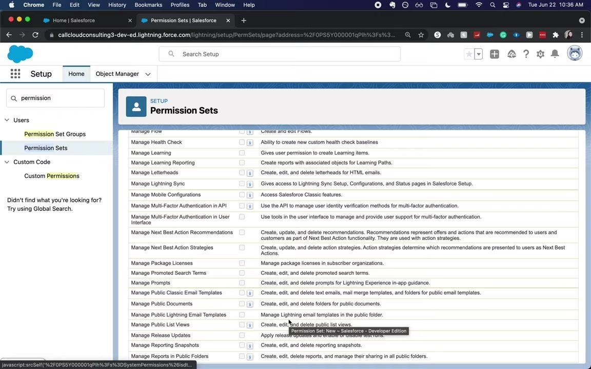 Permission Sets page with system permissions, including options for managing flows, health checks, learning, Lightning Sync, multi-factor authentication, and more.