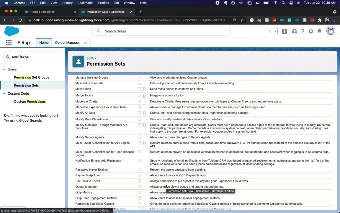Permission Sets assignment screen showing a list of users with checkboxes, including full name, alias, username, last login, role, active status, and profile.