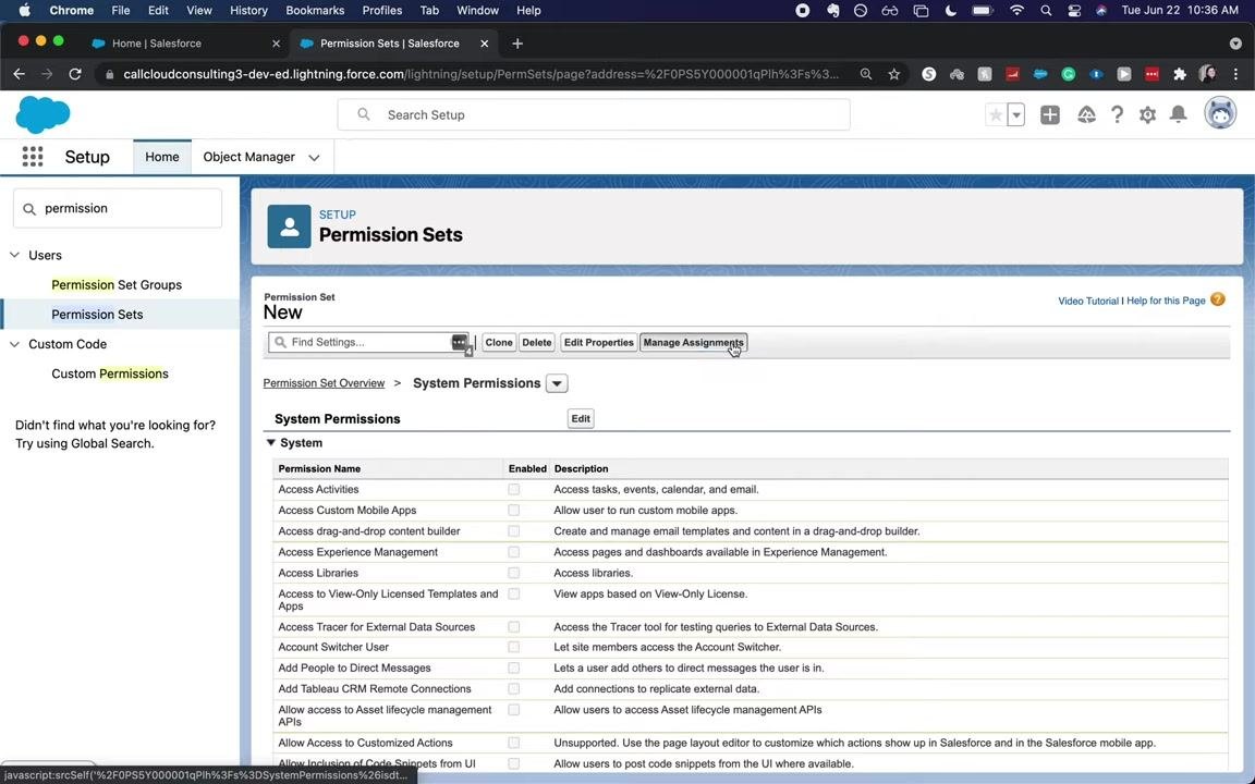Assigned Users screen for a permission set, showing the assigned user, their alias, username, last login, role, active status, and profile.