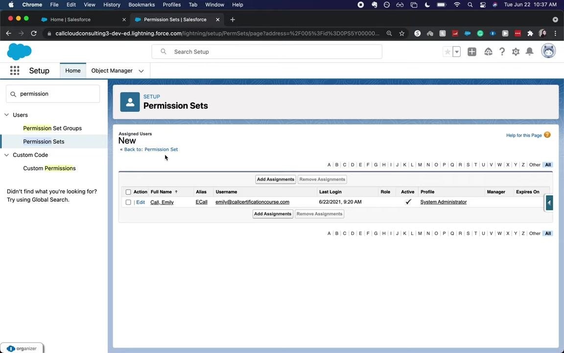 Salesforce Permission Sets page showing the assigned user's details, including alias, username, last login, active status, and profile.
