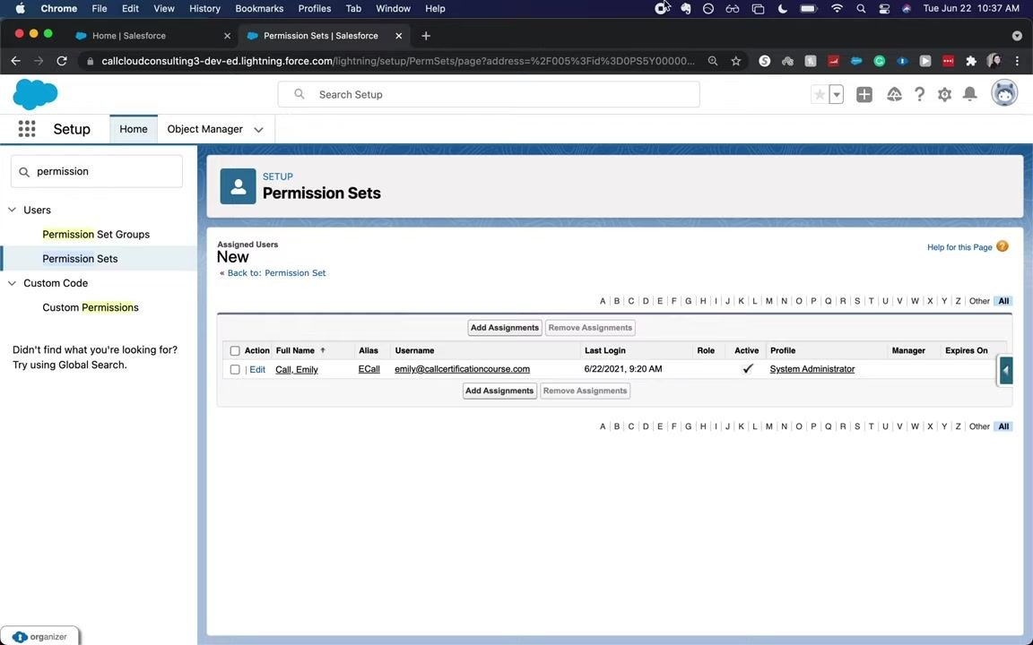 Permission Sets page with assigned user details and assignment management options, confirming the process is complete.