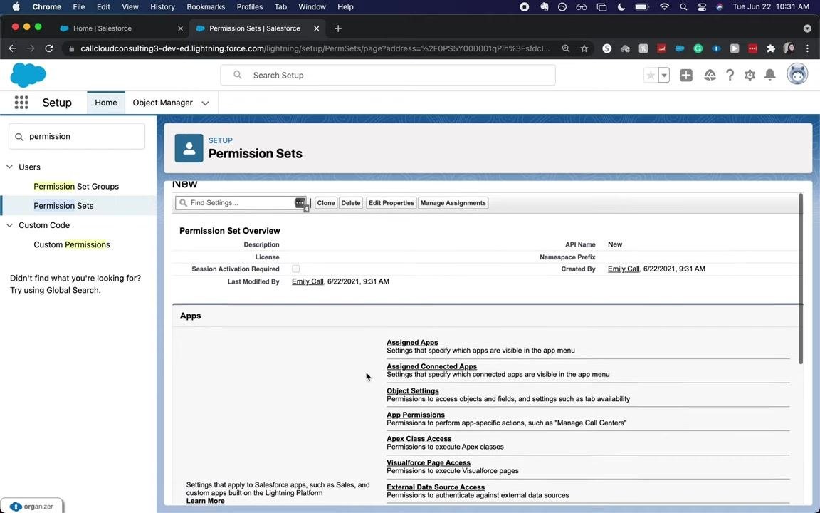Permission Set creation screen with all fields filled in and the License dropdown visible, ready to save.