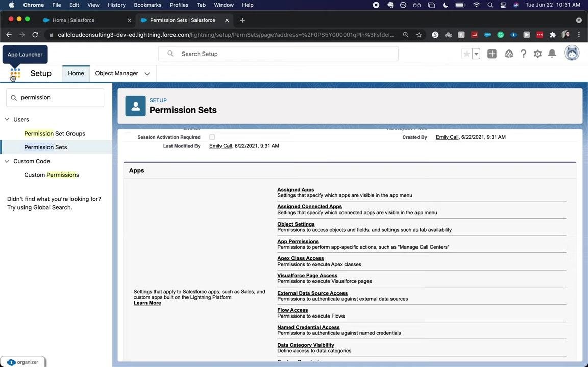 Permission Set Overview page showing the new permission set details and configuration categories.