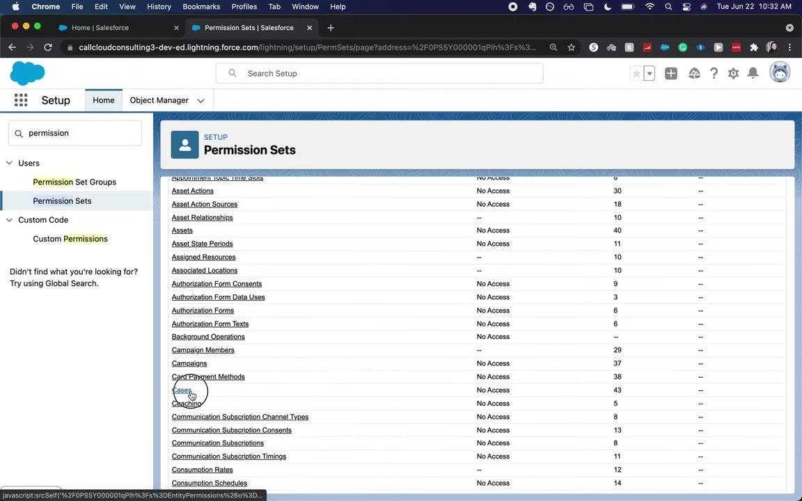 Permission Sets Object Settings page with the Cases object highlighted and selected.