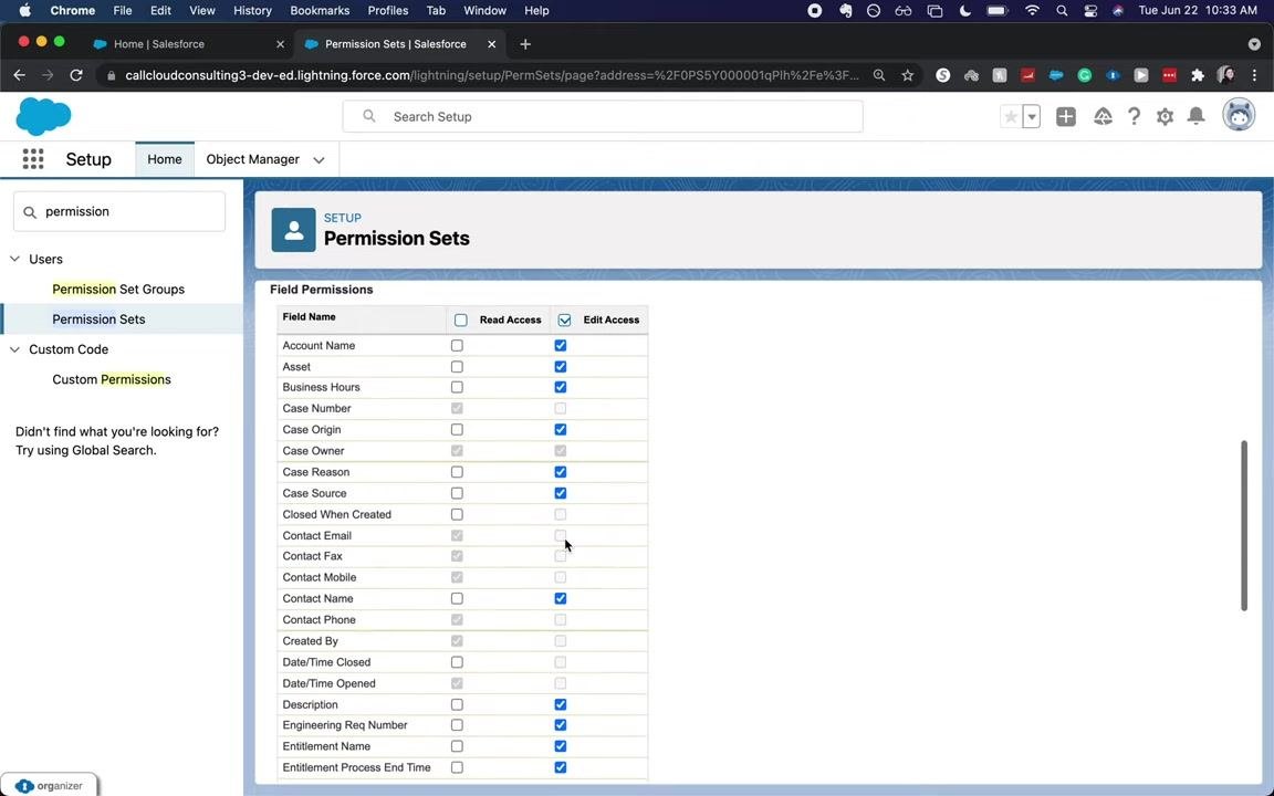 Field Permissions section for the Cases object, showing various fields with Read and Edit Access selected.