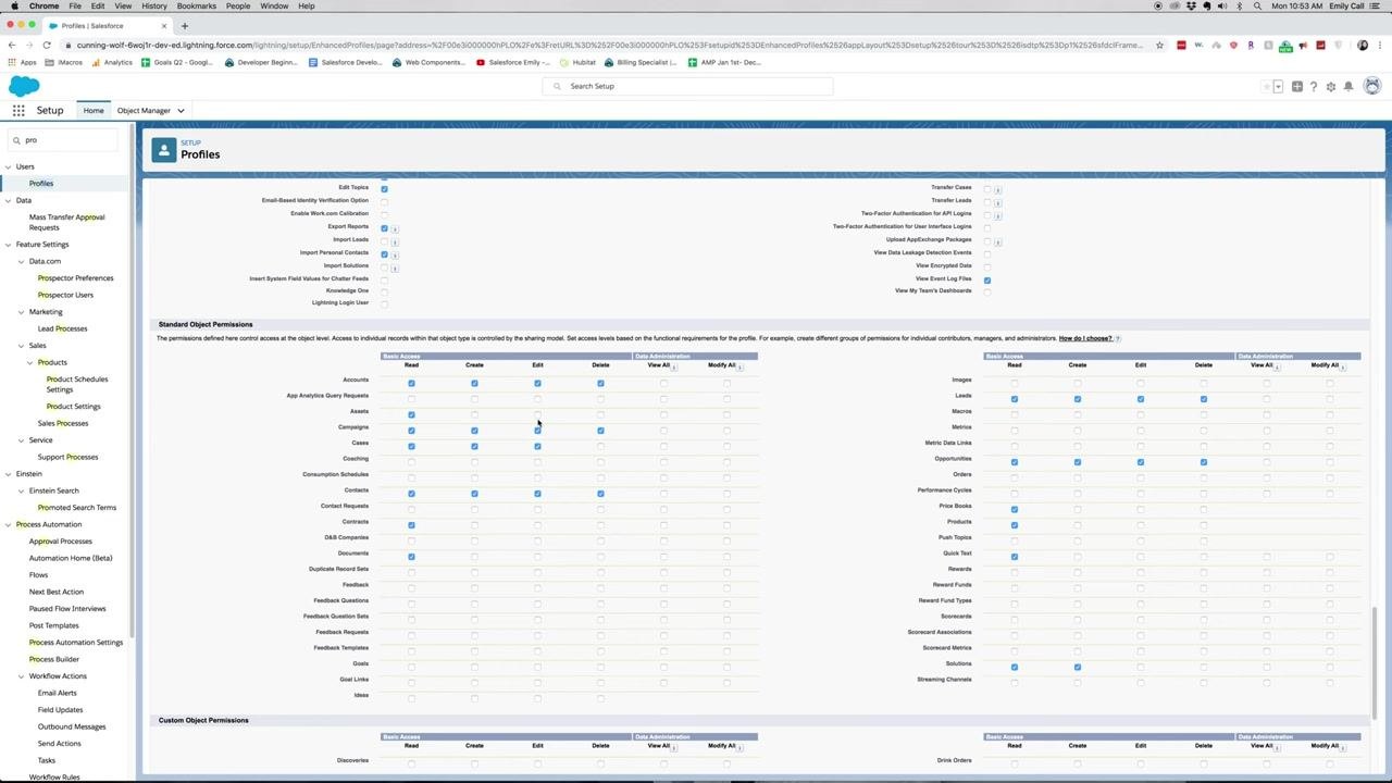 Standard Object Permissions section with CRUD access set for Accounts, Assets, Leads, Opportunities, Price Books, Products, Quick Text, and Solutions