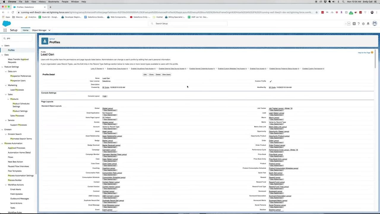 Custom Object Permissions section with all permissions unchecked for custom objects