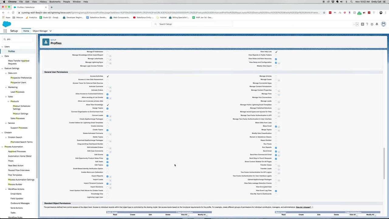 General User Permissions section showing enabled permissions for activities, list views, reports, and chatter groups