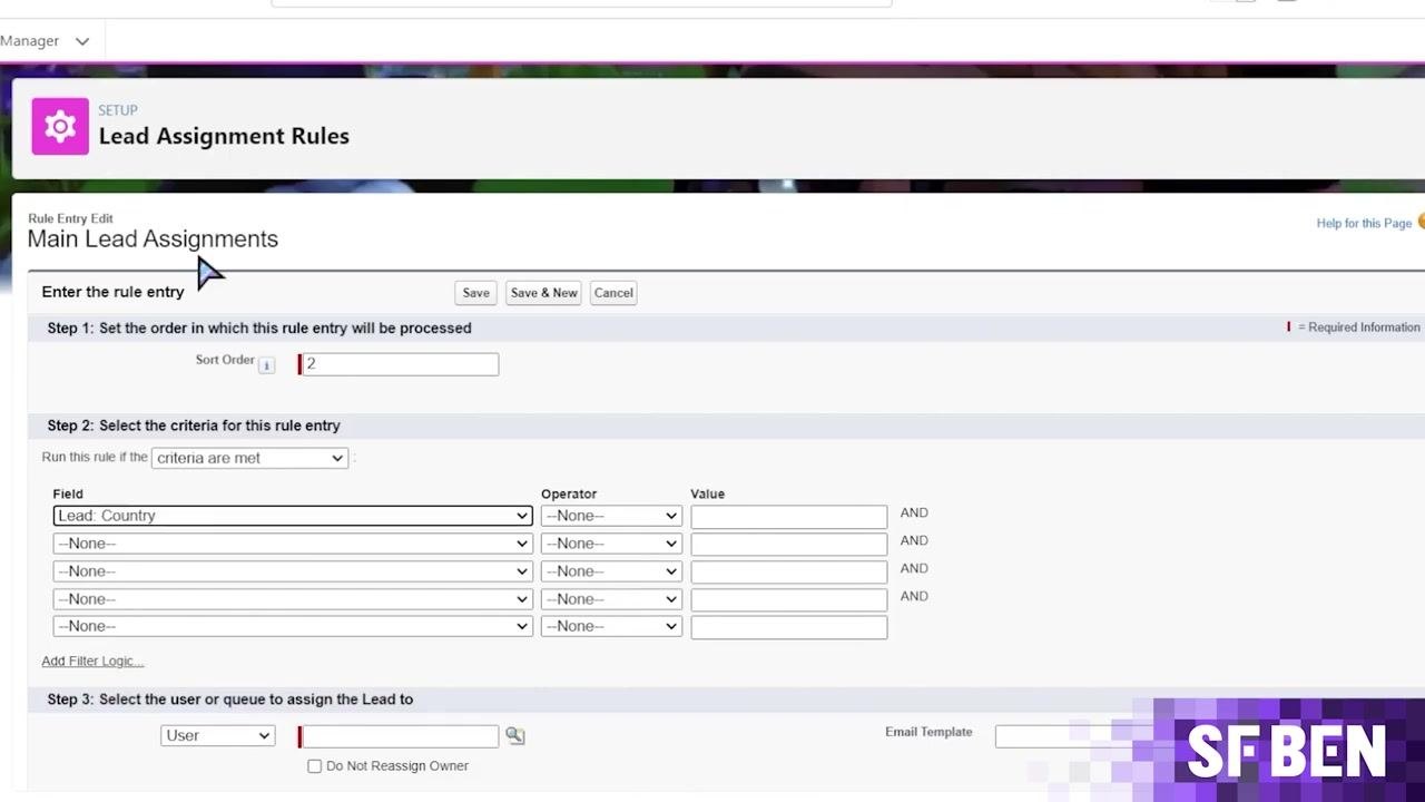 Main Lead Assignments rule detail screen showing existing rule entries and the New button selected.