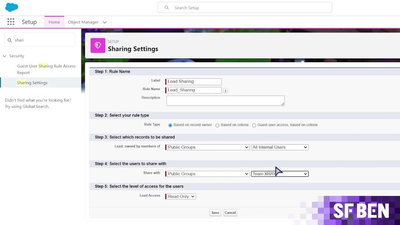 Salesforce Sharing Settings screen configuring how leads owned by a public group are shared with Team XRAY.